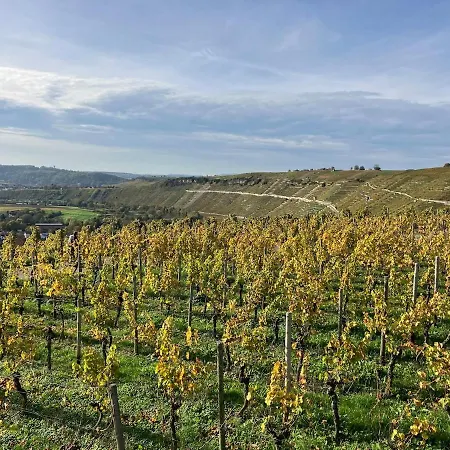 Klimatisiertes Mit Separatem Eingang * Steinheim an der Murr